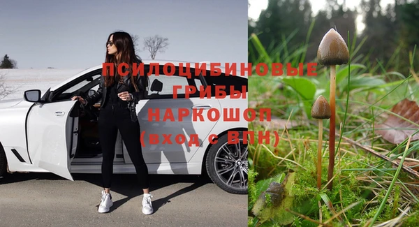 2c-b Пересвет