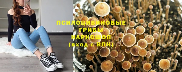 а пвп мука Алексеевка